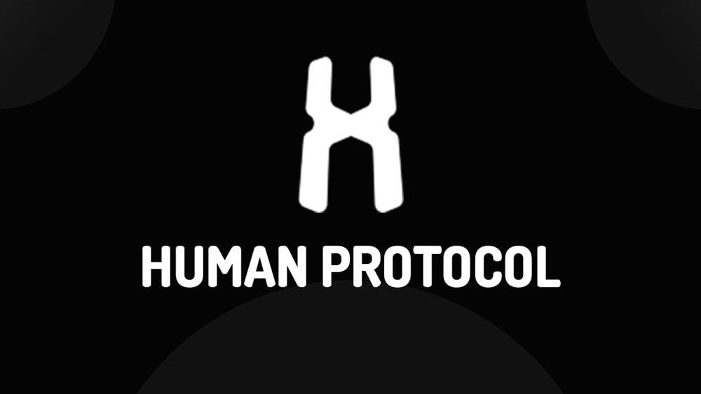 HUMAN Coin Nedir? HMT Coin Geleceği! HMT Coin Yorum, Analiz ve Fiyat Tahmini! HUMAN Protocol gelecekte ne olur? İşte detaylar..