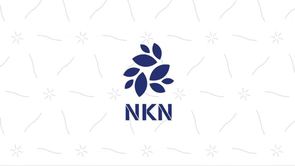 NKN Coin Nedir? NKN Coin Geleceği! NKN Coin Yorum, Analiz ve Fiyat Tahmini! NKN Coin alınır mı? NKN Coin gelecekte ne olur? Detaylı inceleme.
